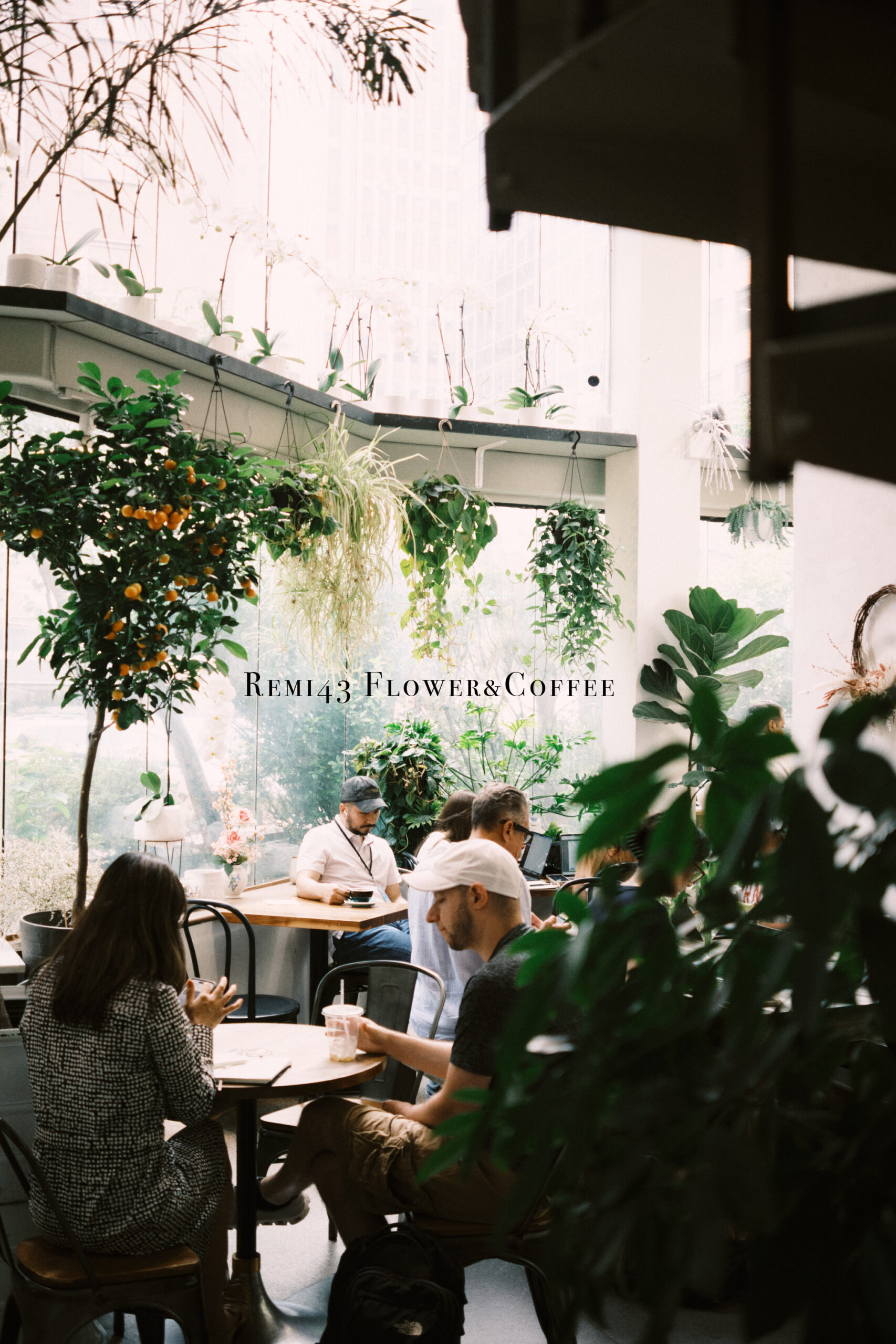 Remi 43. Flower&Coffee